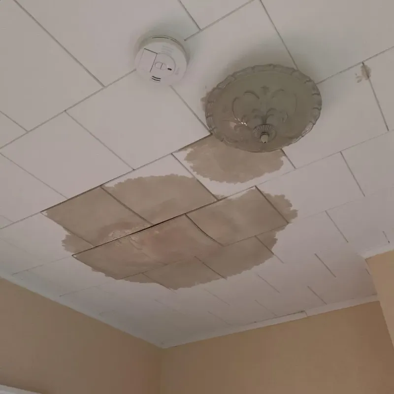 Ceiling Water Damage Repair in White Oak, PA