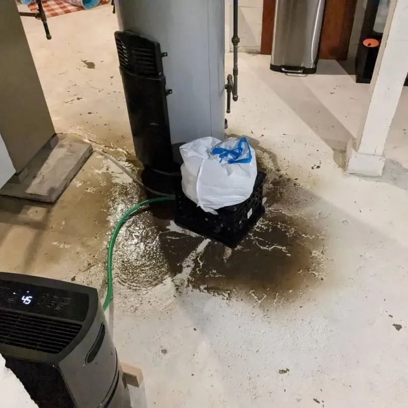 Sewage Backup Cleanup Service in White Oak, PA